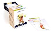 Tapa de Anatomy Flashcards