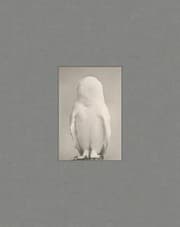 Tapa de Yamamoto Masao