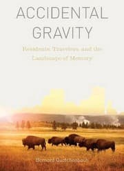 Tapa de Accidental Gravity