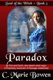 Tapa de Paradox