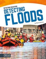 Tapa de Detecting Floods