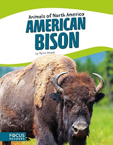 Tapa de American bison