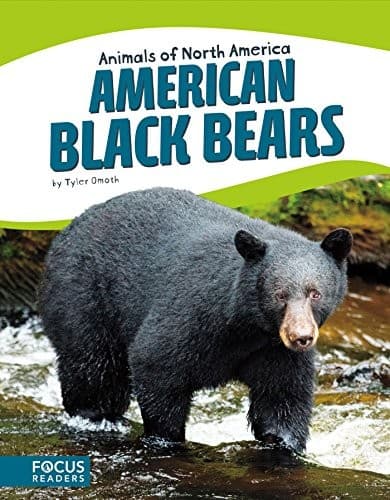 Tapa de American black bears