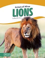 Tapa de Lions