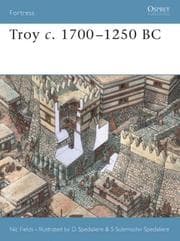 Tapa de Troy C. 1700-1250 BC (Fortress, 17)