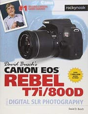 Tapa de David Busch's Canon EOS Rebel T7i/800D Guide to Digital SLR Photography
