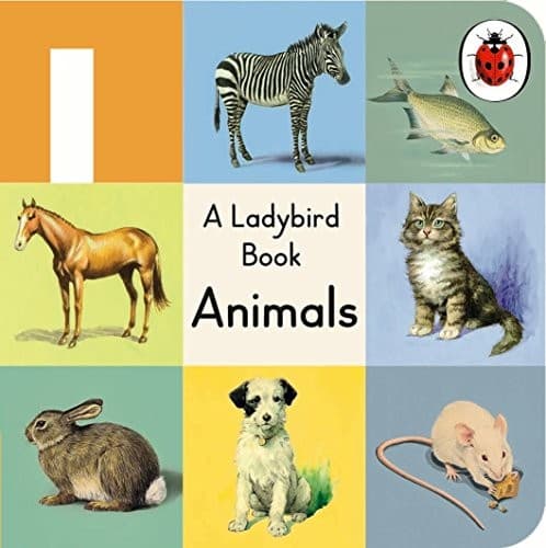 Tapa de A Ladybird buggy book