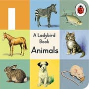 Tapa de A Ladybird buggy book