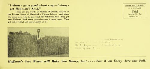 Tapa de Hoffman's seed prices