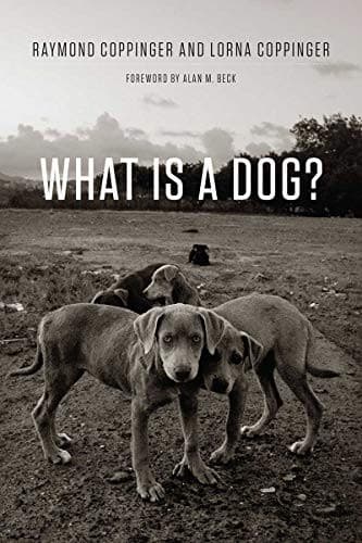Tapa de What is a dog?