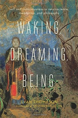Tapa de Waking, dreaming, being