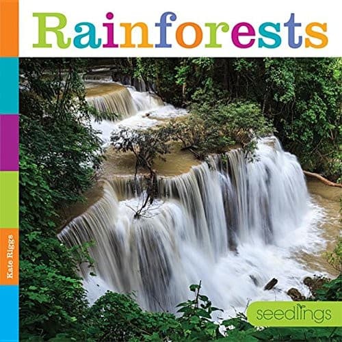 Tapa de Rainforests