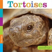 Tapa de Tortoises