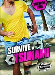 Tapa de Survive a Tsunami