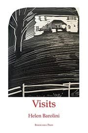 Tapa de Visits
