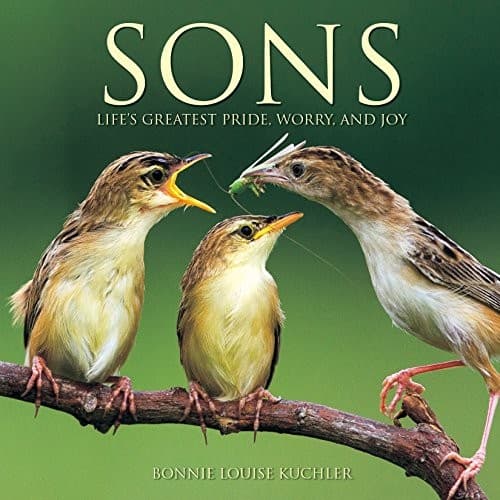 Tapa de Sons