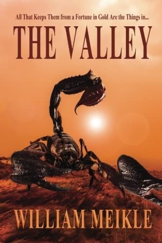 Tapa de The Valley