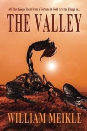 Tapa de The Valley
