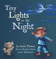 Tapa de Tiny Lights in the Night