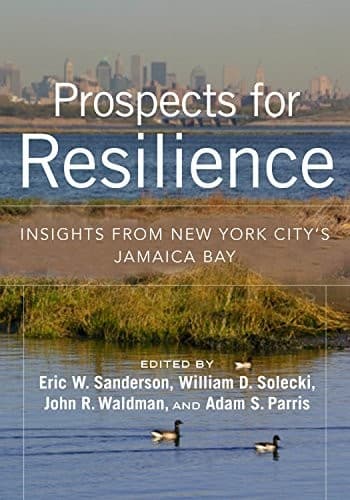 Tapa de Prospects for Resilience