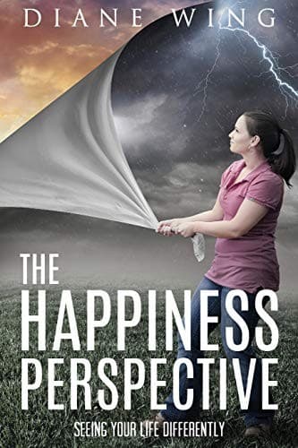 Tapa de The Happiness Perspective