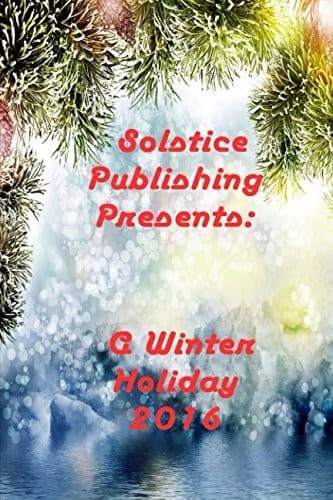 Tapa de A Winter Holiday 2016