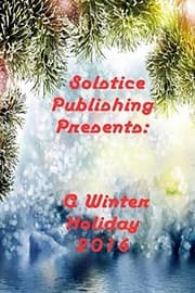 Tapa de A Winter Holiday 2016