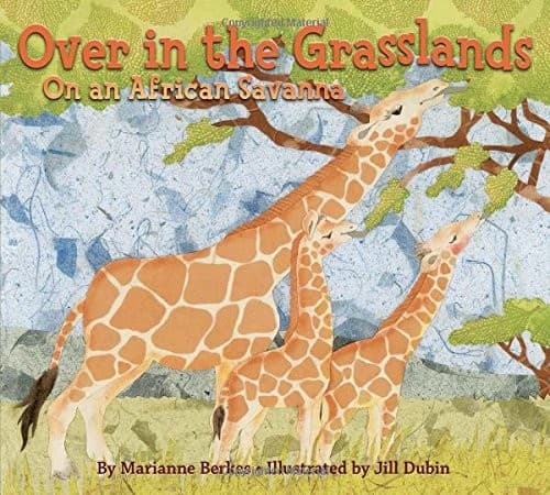 Tapa de Over in the grasslands