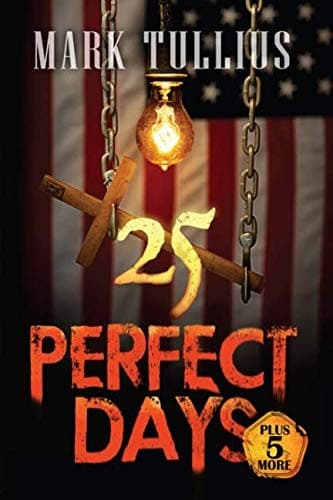 Tapa de 25 Perfect Days