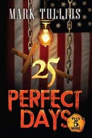 Tapa de 25 Perfect Days