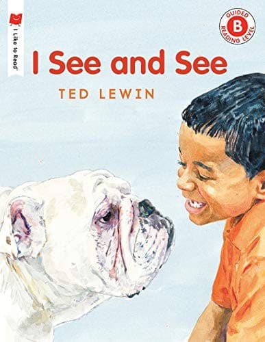 Tapa de I see and see