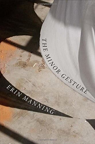 Tapa de The Minor Gesture