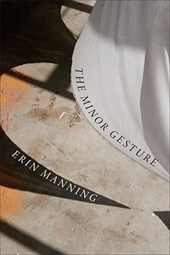 Tapa de The Minor Gesture