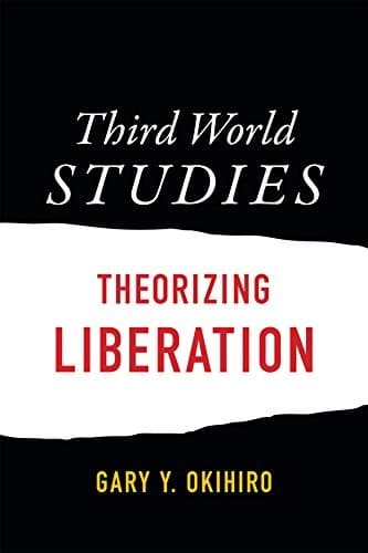 Tapa de Third World Studies