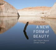 Tapa de A New Form of Beauty