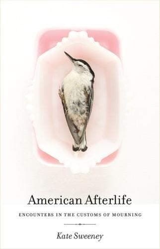Tapa de American Afterlife