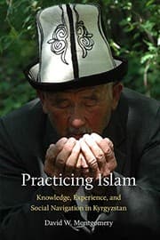 Tapa de Practicing Islam