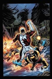 Tapa de X-Men/Alpha Flight