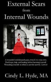 Tapa de External Scars from Internal Wounds