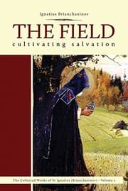 Tapa de The Field