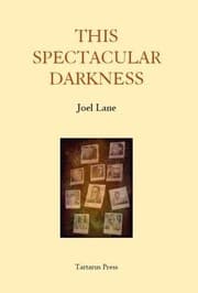 Tapa de This Spectacular Darkness 2016