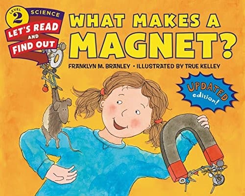Tapa de What Makes a Magnet?