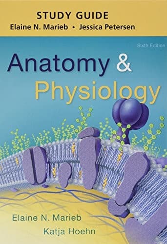 Tapa de Study Guide for Anatomy & Physiology
