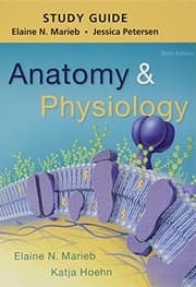 Tapa de Study Guide for Anatomy & Physiology