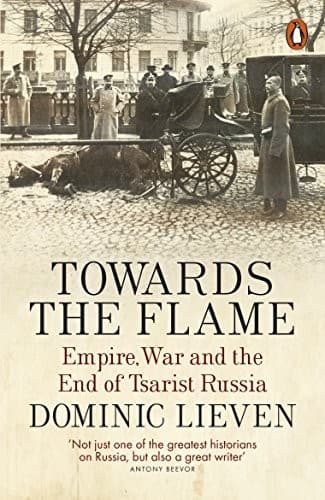 Tapa de Towards the Flame