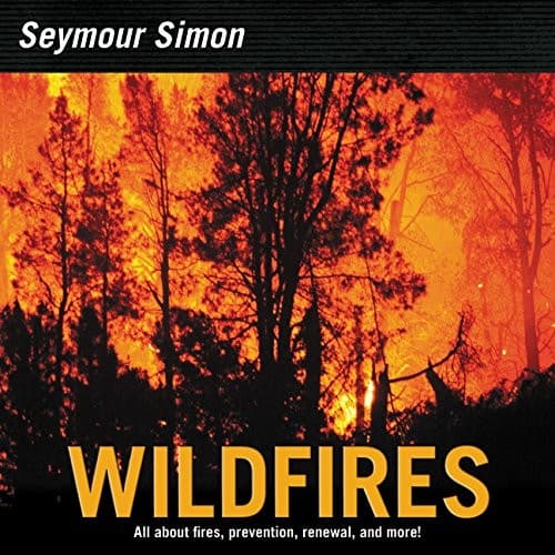Tapa de Wildfires