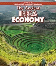 Tapa de The Ancient Inca Economy