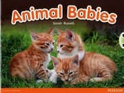 Tapa de Bug Club Non-fiction Red B  Animal Babies