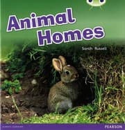 Tapa de Bug Club Non-fiction Pink B Animal Homes