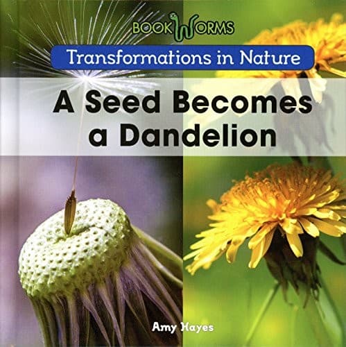 Tapa de A Seed Becomes a Dandelion